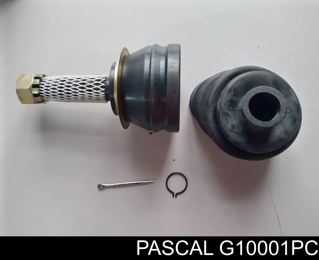 G10001PC Pascal шрус наружный передний