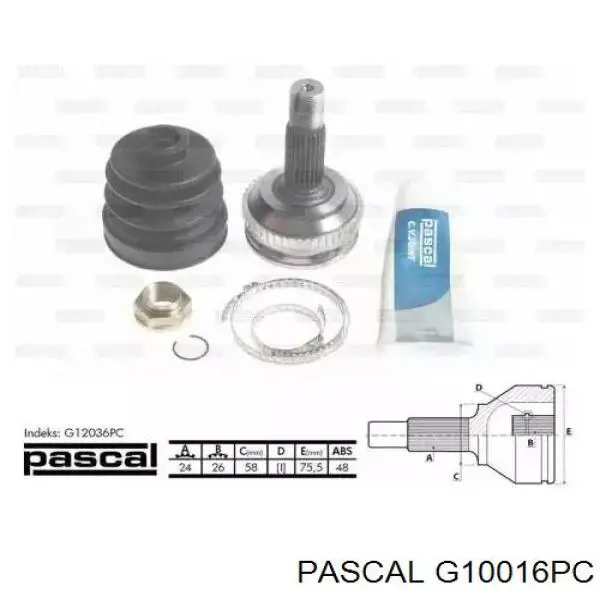 Купить G10016PC Pascal Внешняя граната