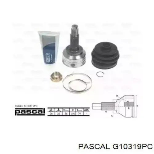 G10319PC Pascal