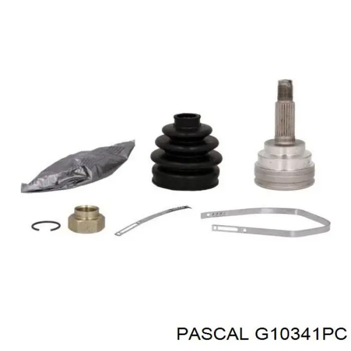 G10341PC Pascal