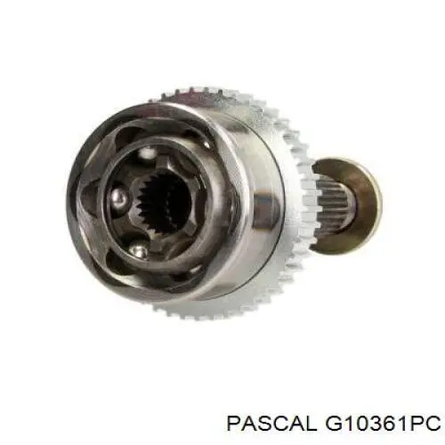 G10361PC Pascal