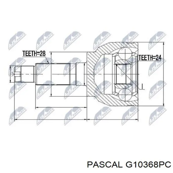 G10368PC Pascal 