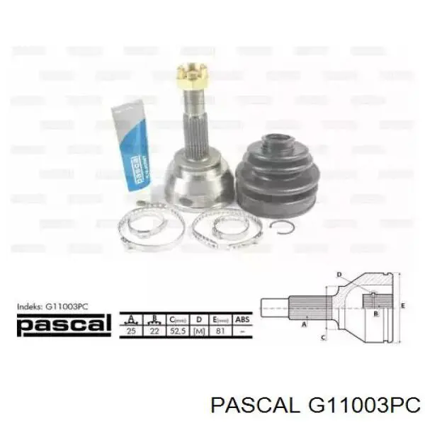 G11003PC Pascal шрус наружный передний