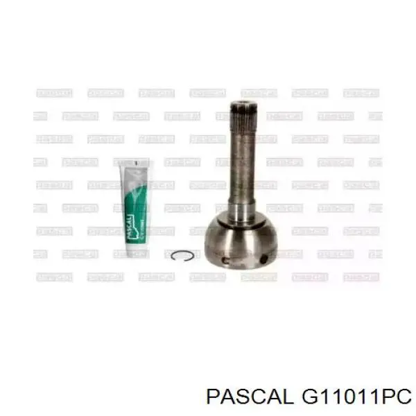 G11011PC Pascal