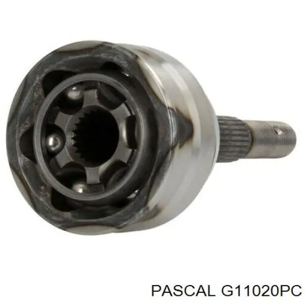 G11020PC Pascal шрус наружный передний