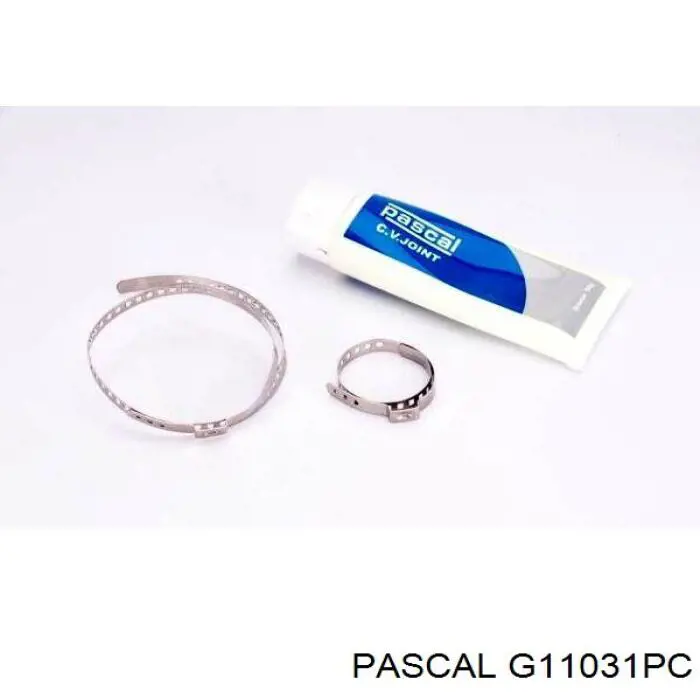 G11031PC Pascal шрус наружный передний