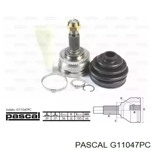 G11047PC Pascal шрус наружный передний