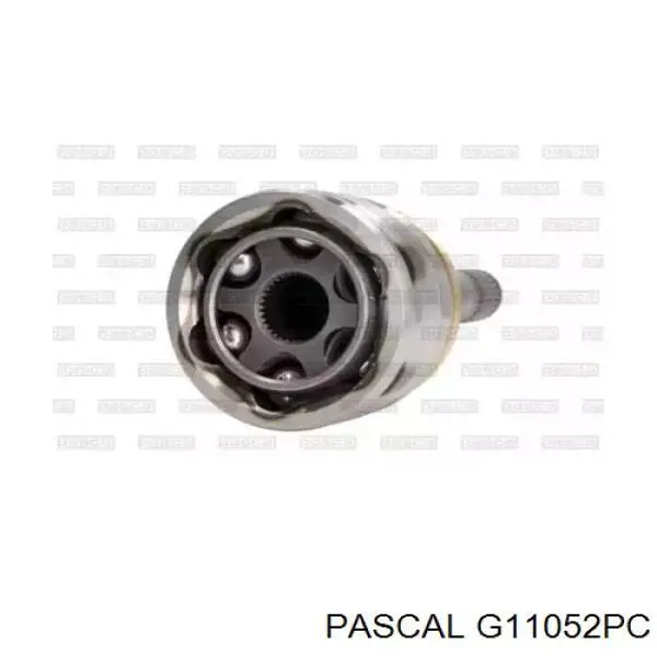 G11052PC Pascal