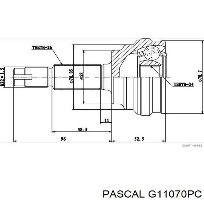 G11070PC Pascal шрус наружный передний