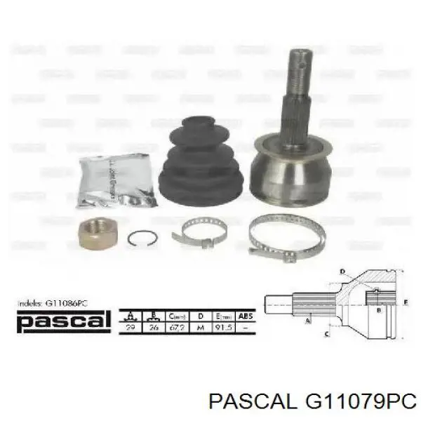 G11079PC Pascal