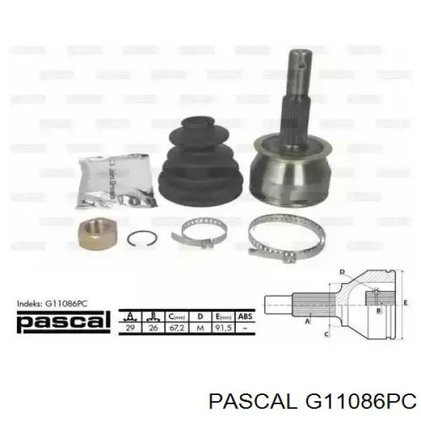 G11086PC Pascal шрус наружный передний