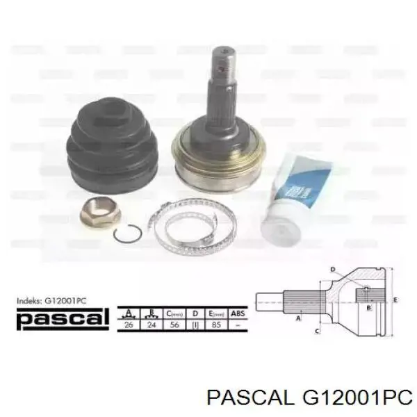 G12001PC Pascal