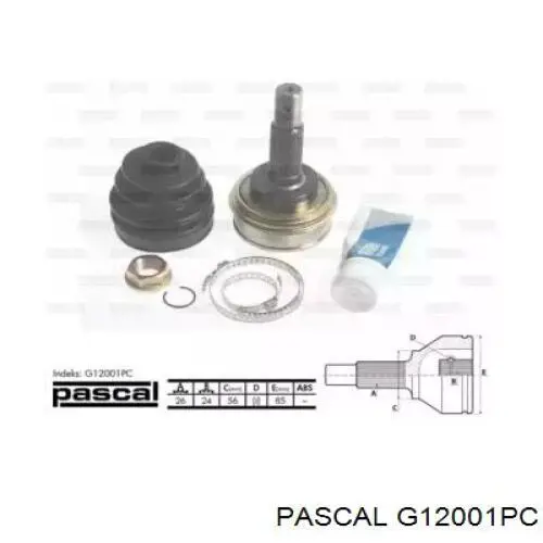 Купить G12001PC Pascal Внешняя граната