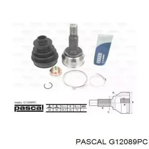 G12089PC Pascal