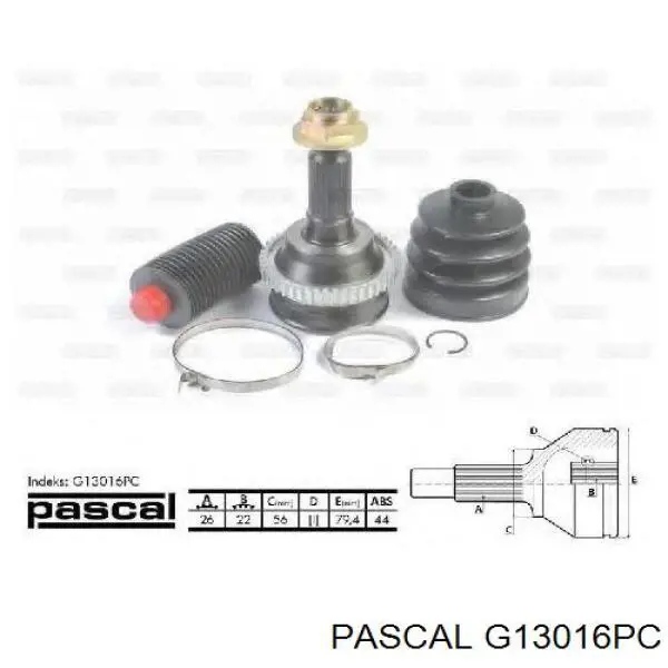 G13016PC Pascal