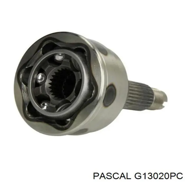 G13020PC Pascal