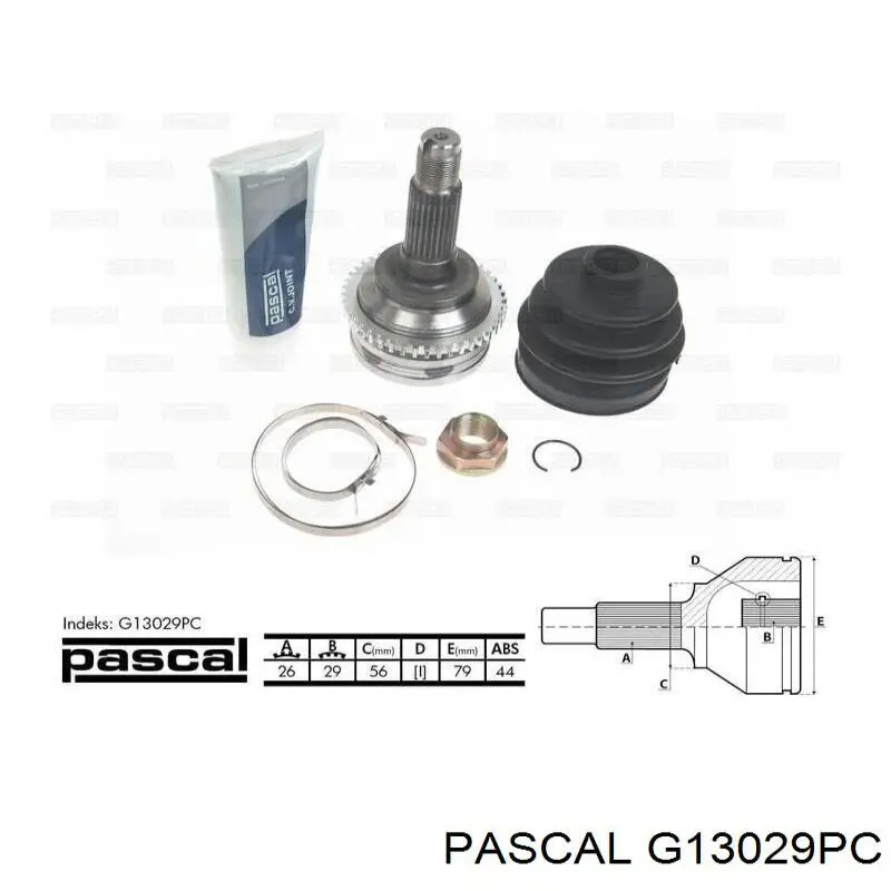 G13029PC Pascal шрус наружный передний