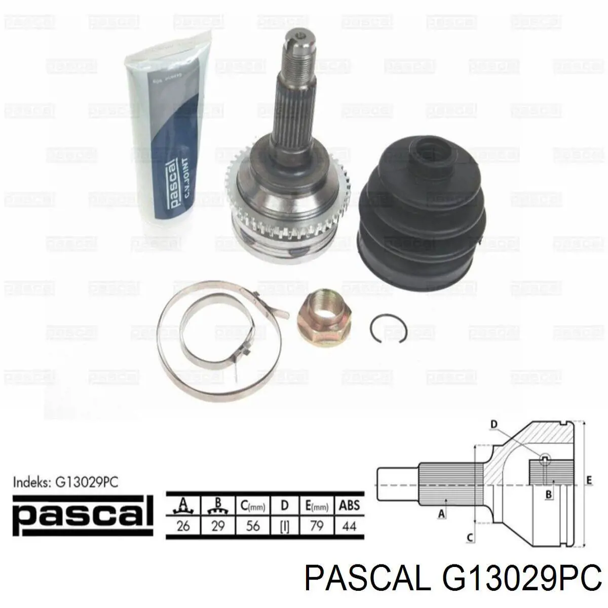 G13029PC Pascal