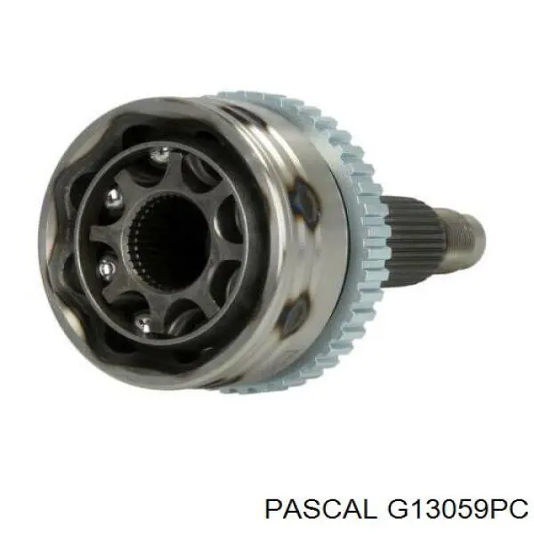 G13059PC Pascal