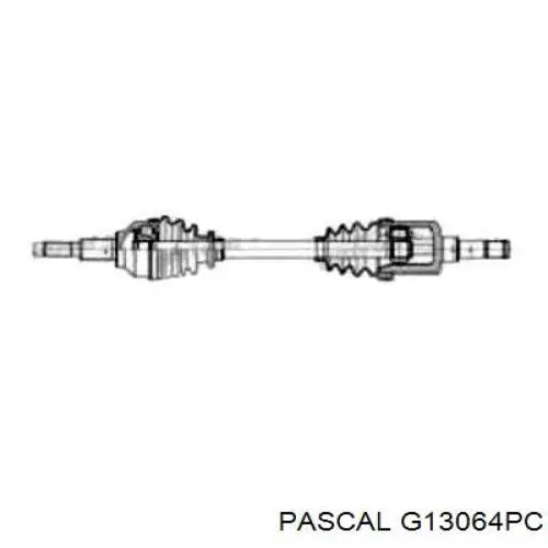 Купить G13064PC Pascal Внешняя граната
