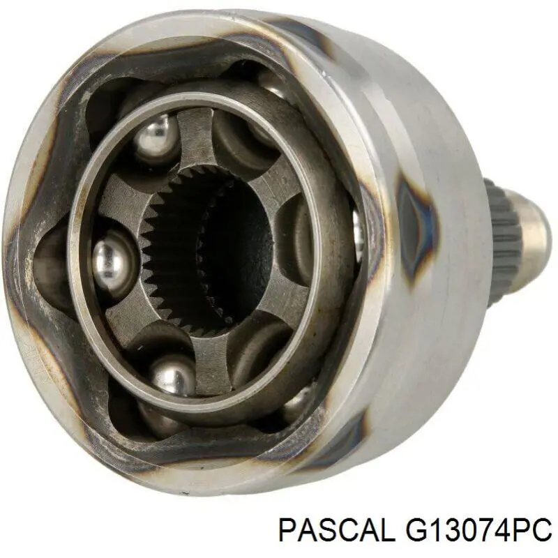 Купить G13074PC Pascal 