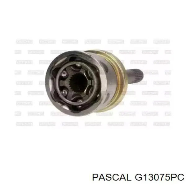 G13075PC Pascal