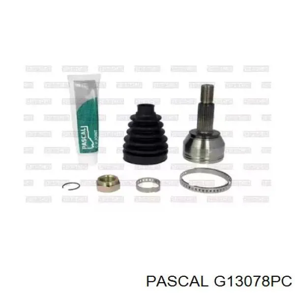 Купить G13078PC Pascal 