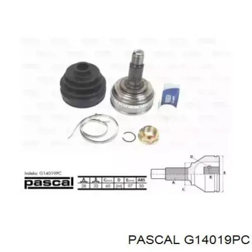 G14019PC Pascal шрус наружный передний