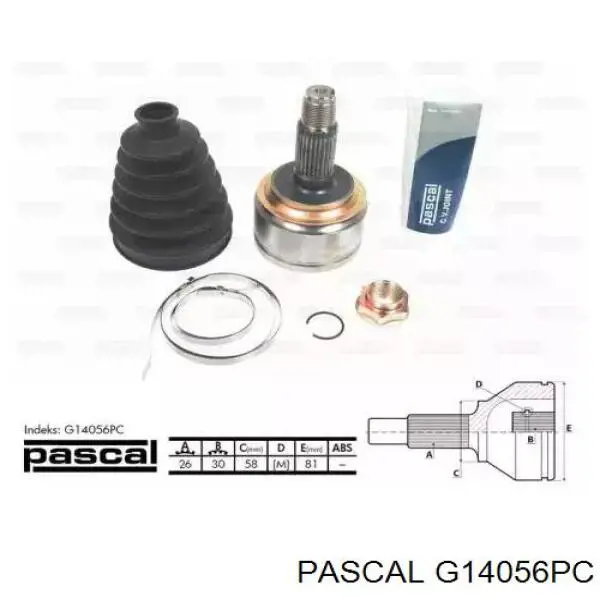 G14056PC Pascal шрус наружный передний