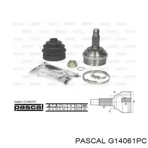  G14061PC Pascal