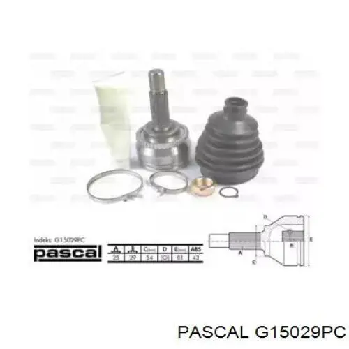G15029PC Pascal шрус наружный передний