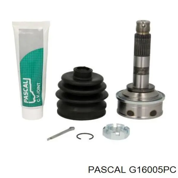  Pascal G16005PC цена, от 18.13 USD