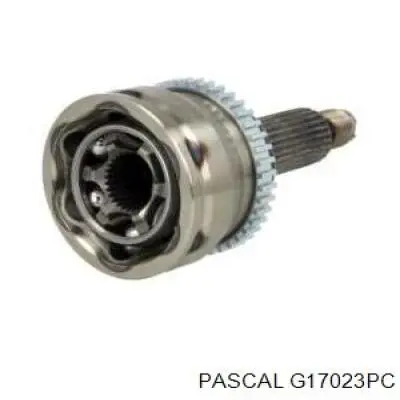 G17023PC Pascal