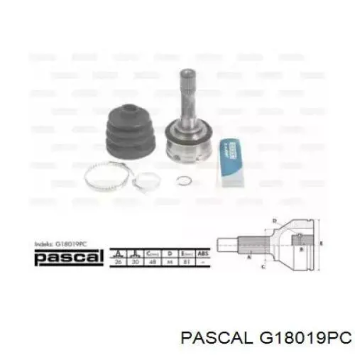 G18019PC Pascal шрус наружный передний