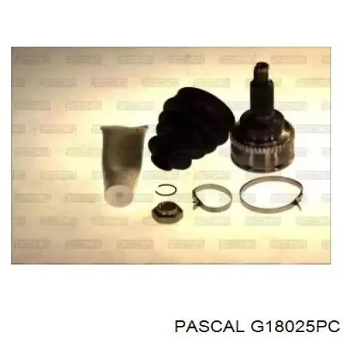 G18025PC Pascal шрус наружный передний