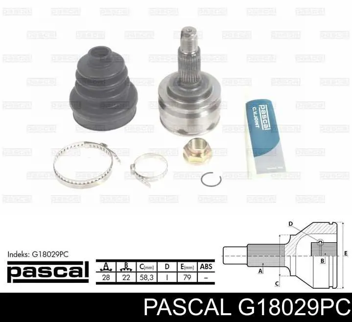 G18029PC Pascal шрус наружный передний