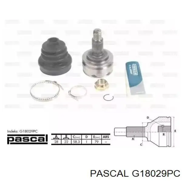 Junta homocinética exterior delantera G18029PC Pascal