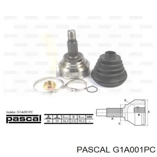 G1A001PC Pascal