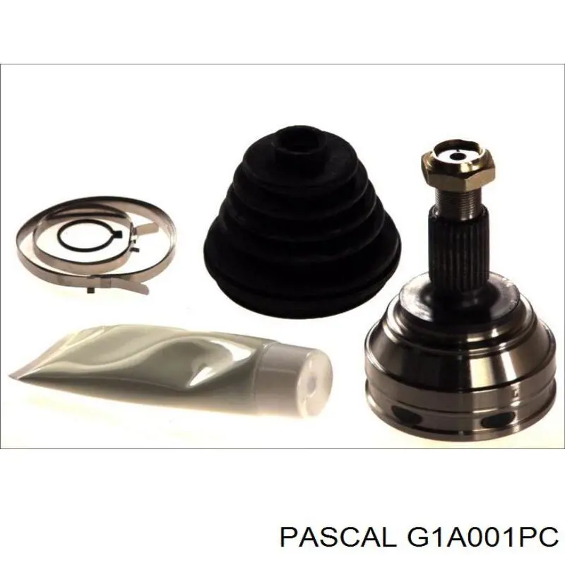 Купить G1A001PC Pascal Внешняя граната