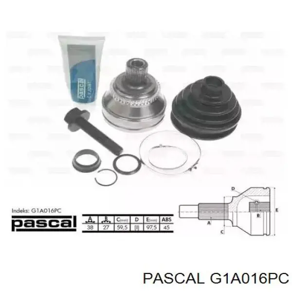 G1A016PC Pascal шрус наружный передний