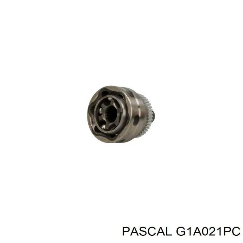 G1A021PC Pascal