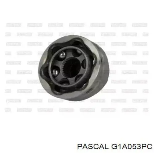 G1A053PC Pascal