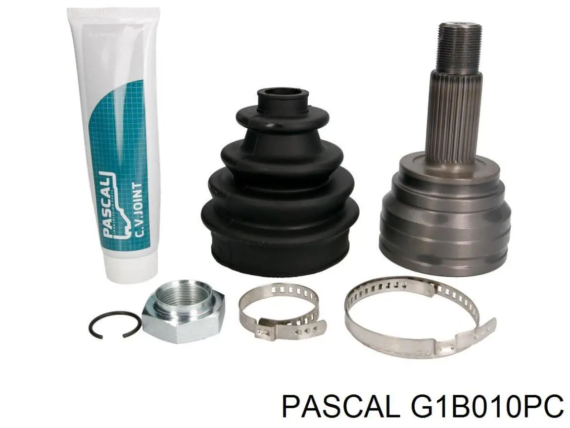 G1B010PC Pascal