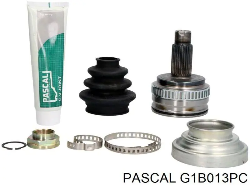 G1B013PC Pascal