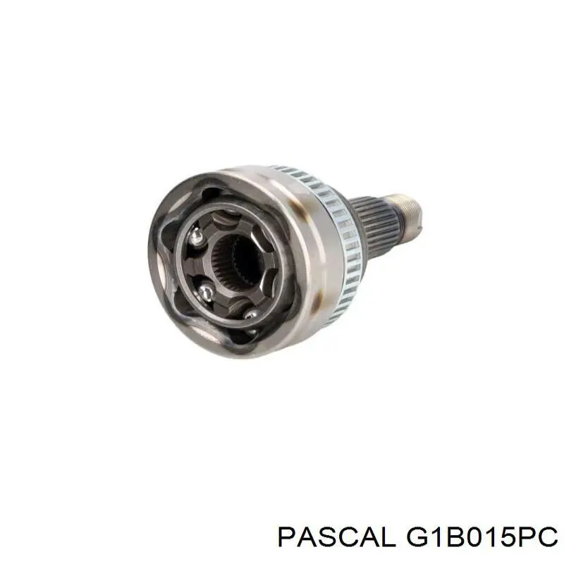 G1B015PC Pascal 