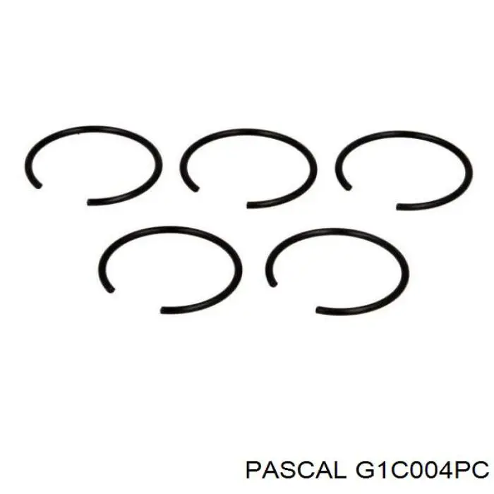 G1C004PC Pascal