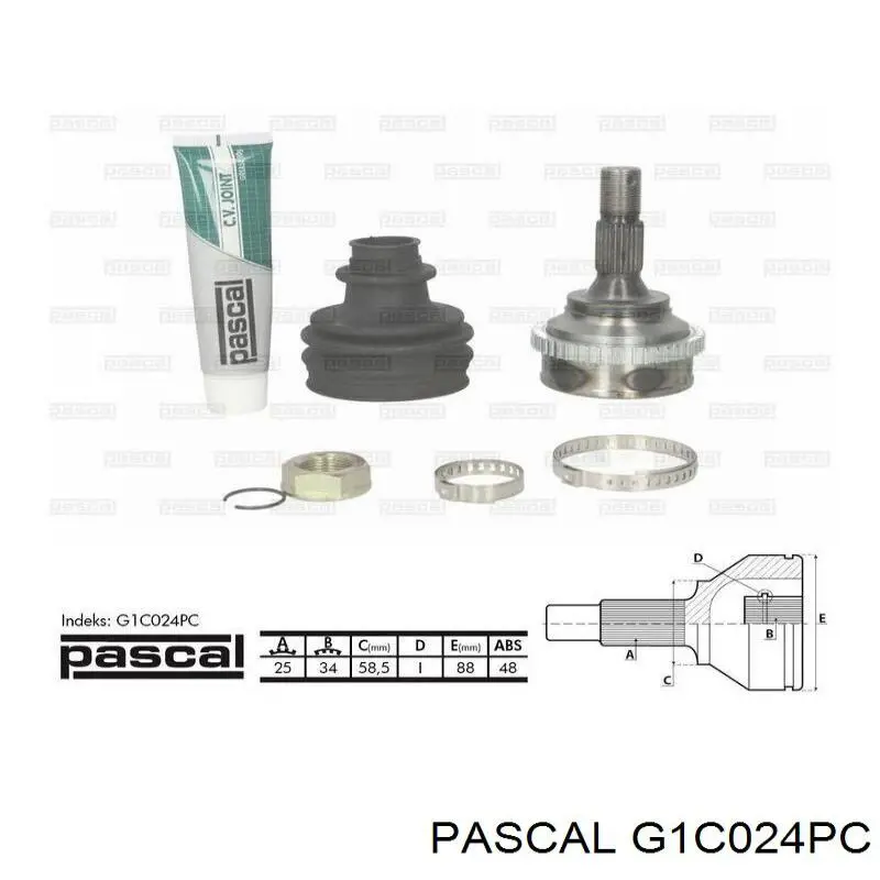 G1C024PC Pascal шрус наружный передний