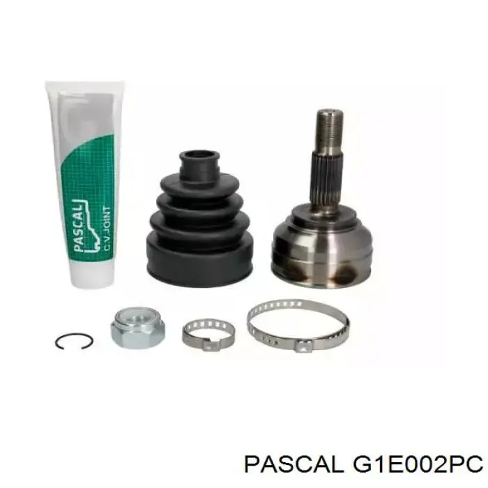 G1E002PC Pascal