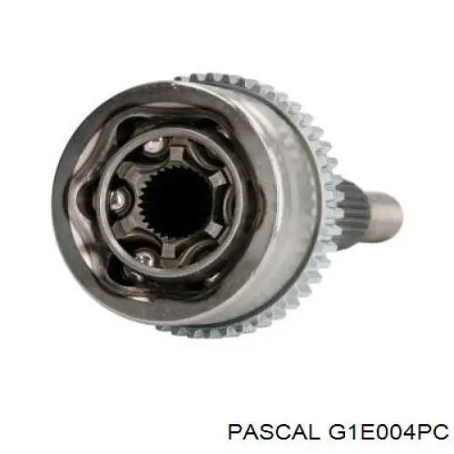 G1E004PC Pascal