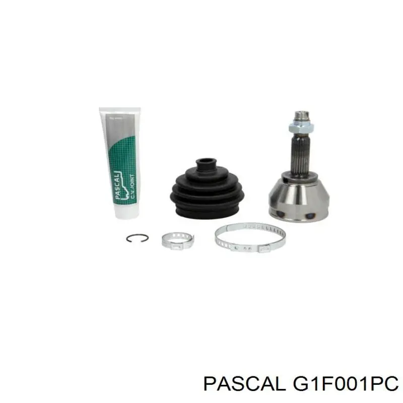 Купить G1F001PC Pascal Внешняя граната